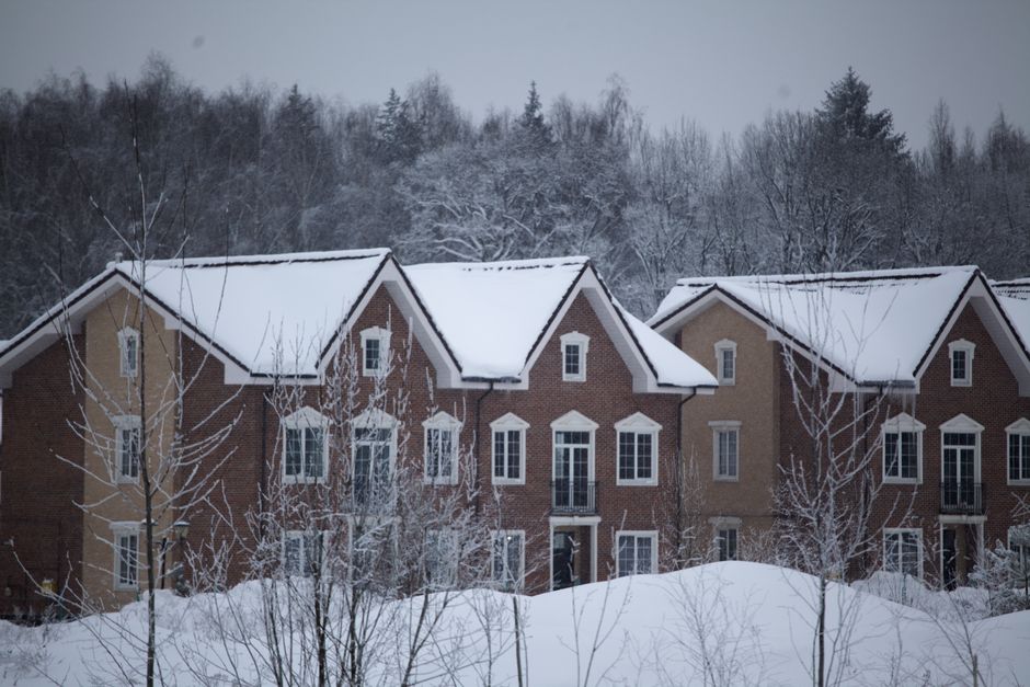 Snow-covered forest floor with visible animal tracks crossing between trees